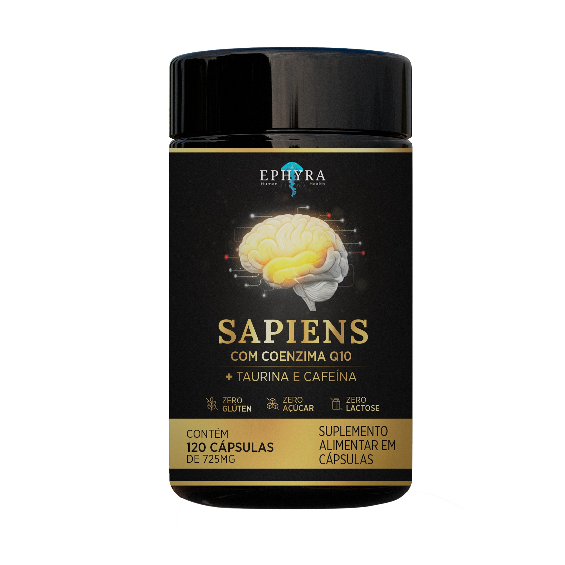 Sapiens – Foco e Concentração