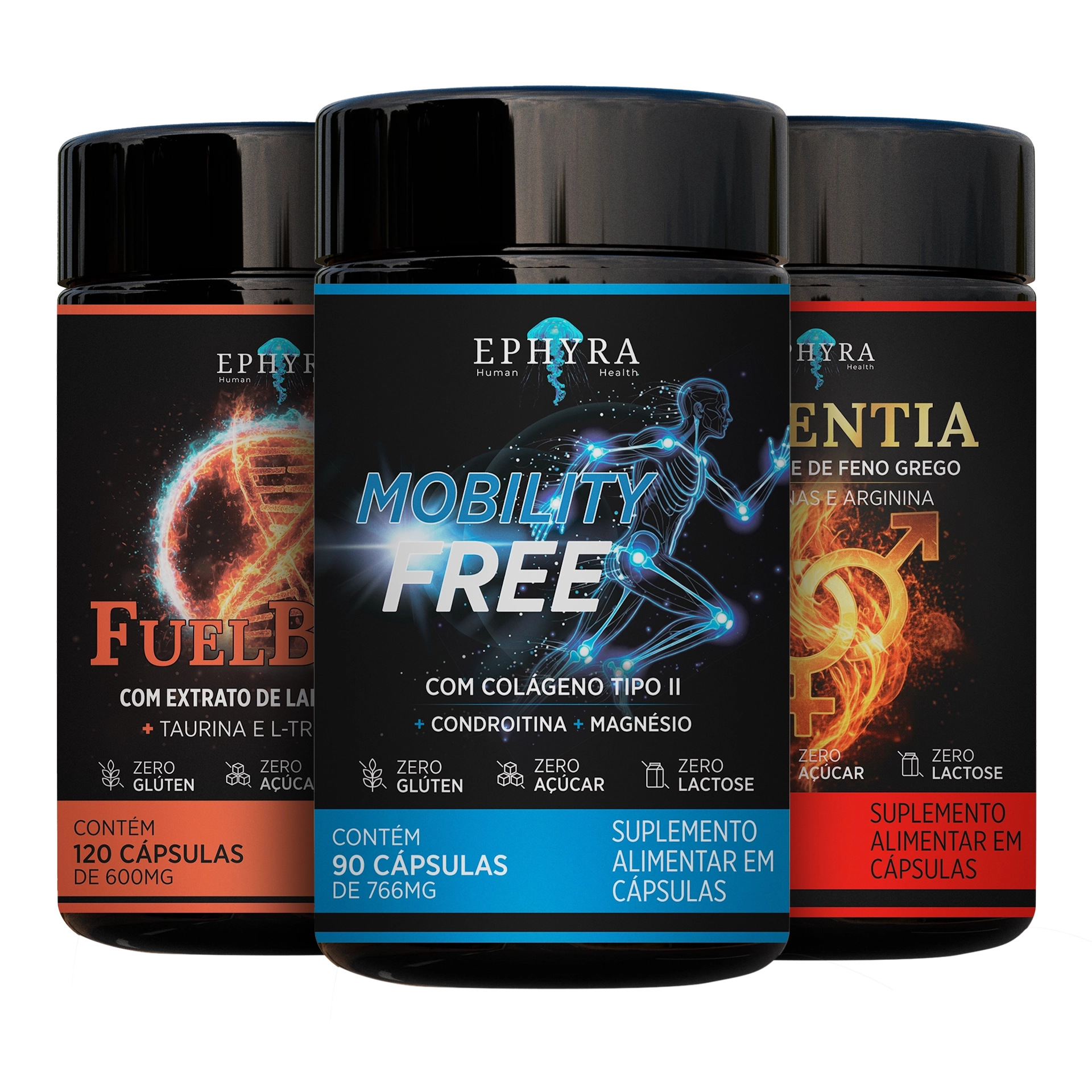 Kit Fuel + Mobility + Potentia